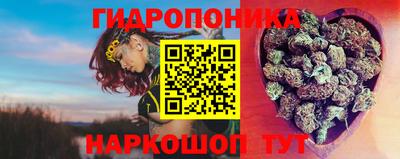 прущие грибы Коммунар