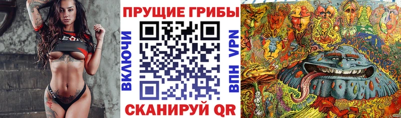 Псилоцибиновые грибы мухоморы  как найти наркотики  дарк нет Telegram  Каспийск 