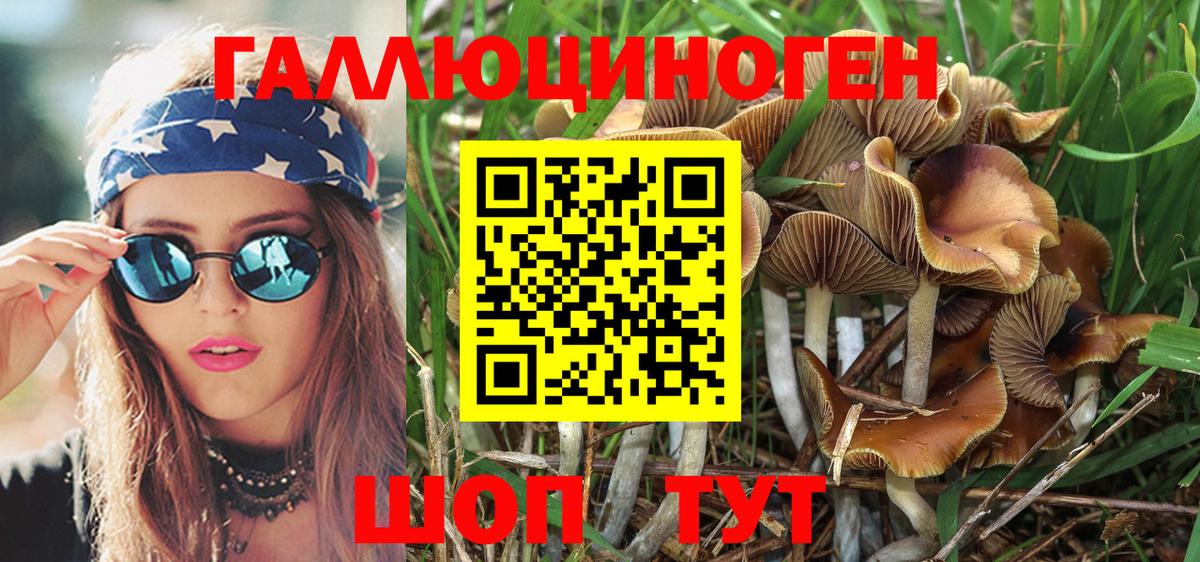 Псилоцибиновые грибы мицелий  Вход с VPN  Псилоцибиновые грибы Psilocybe  Каспийск 