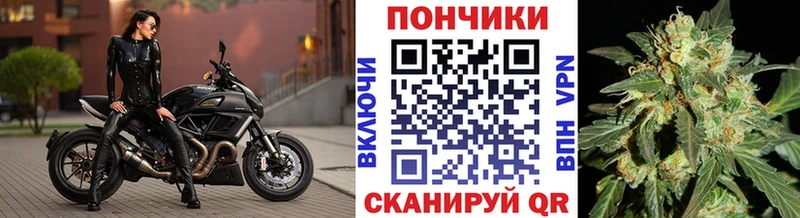 цены наркотик  Каспийск  OMG ONION  Конопля планчик 