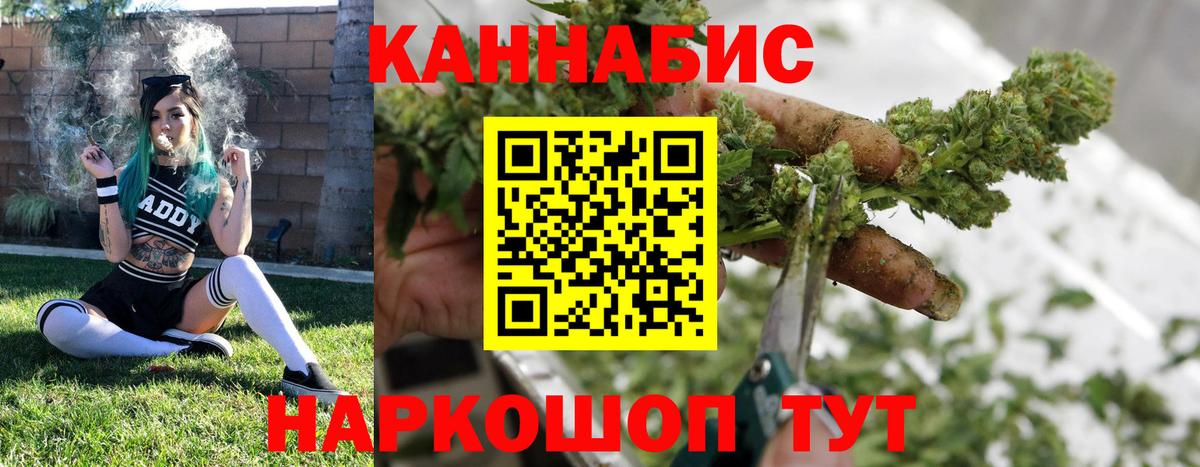 Каспийск  Бошки марихуана планчик  Бошки Шишки Bruce Banner  Канабис планчик  Вход с VPN 